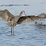 thumbs/IMG_1405.jpg